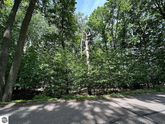 32 Golf Meadows Dr, Bellaire, MI 49615