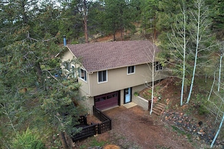 11669 S Upper Ranch Dr, Pine, CO 80470