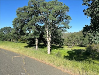 19600 Nicholas Way, Loch Lomond, CA 95461