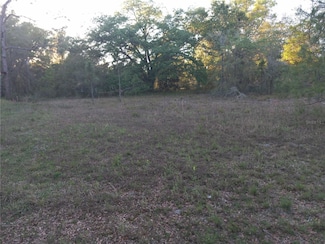 00 NE 141st Ct, Fort Mc Coy, FL 32134