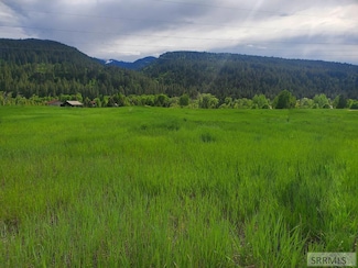 TBD Raven Rd, Irwin, ID 83428