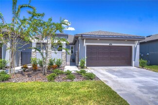 234 Villa Luna Ln, Lutz, FL 33549