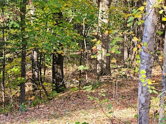 Lot 65 Church St, Brownville, ME 04414