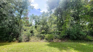 0 S Georgetown Point Rd, Georgetown, FL 32139