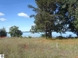 8944 Pere Marquette N, Alden, MI 49612