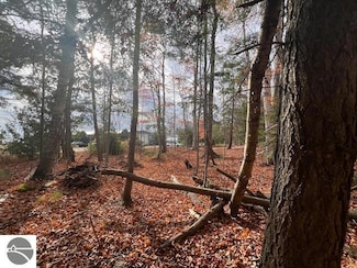 Parcel B N Shore Dr, Northport, MI 49670