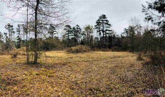 31136 N Doyle Rd, Holden, LA 70744