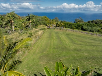 36-3326 Kuwili Lani Place, Laupahoehoe, HI 96764