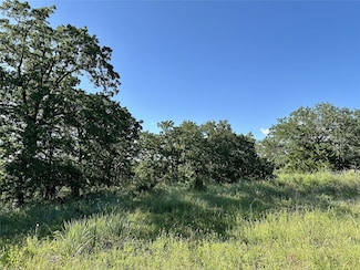 186 Pr 3873, Poolville, TX 76487