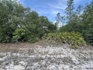 18167 Parakeet Rd, Brooksville, FL 34614