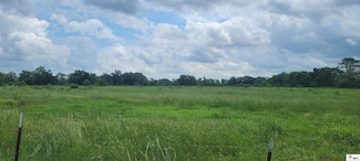 906 Deer Bend Rd, Columbia, LA 71418