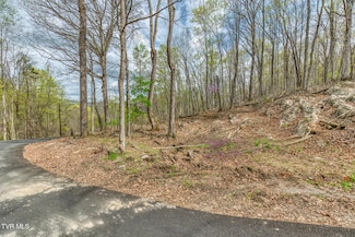 635 Harbor Springs Rd, Kingsport, TN 37664