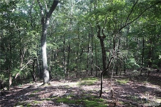 000 Oak Ridge Rd, Fayette, AL 35555