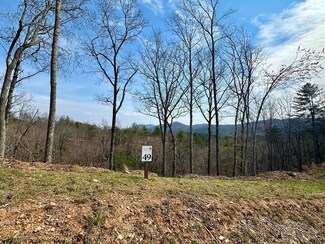 Lot 49 Mountain Laurel Ridge, Mineral Bluff, GA 30559