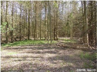 0 Nelson Rd Unit S1569765, Lenox, NY 13032