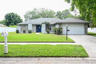 9311 Pebble Creek Dr, Tampa, FL 33647