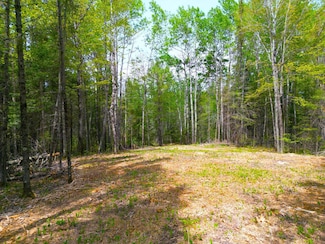 72XX E Central Lakes Road Lot G, Eveleth, MN 55734