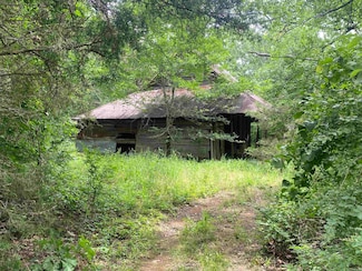 TBD Stevenson Rd, Pencil Bluff, AR 71965