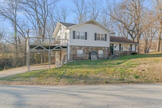 111 Rhine St, Pineville, MO 64856