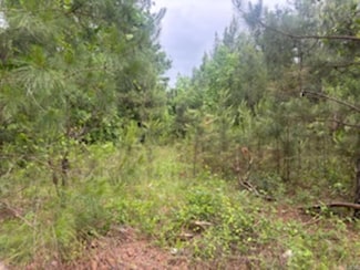 4.82 Acres Apple St, Bearden, AR 71720