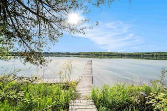 10222 W Munro Lake Dr, Levering, MI 49755