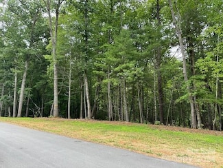 348 Belle Isle Way Unit 287, Asheville, NC 28803