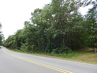Tract 5 Highway 127, Kathleen, GA 31047