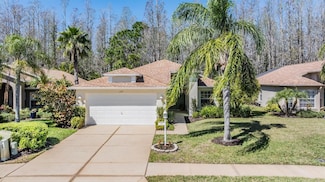 1107 Sweet Jasmine Dr, Trinity, FL 34655