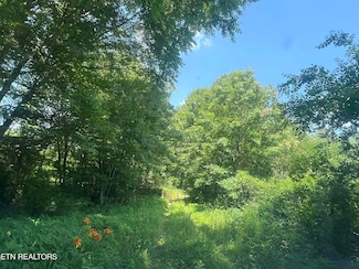 130 Earl Gooch Rd, Lancing, TN 37770