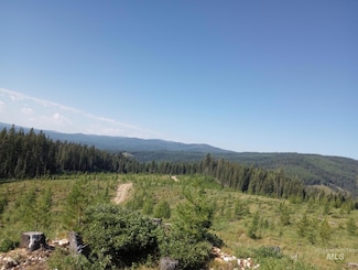 TBD French Gulch Rd Parcel 2 & 3, Elk City, ID 83525