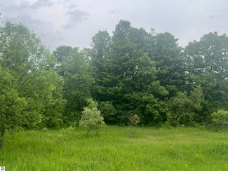 00 Wood Rd NE, Kalkaska, MI 49646