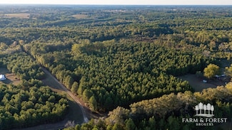 0 County Road 75, Chancellor, AL 36316