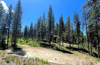 L16 B1 Shaw Gulch Rd Unit 16, Idaho City, ID 83631