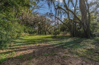 0 Harold Dangler, Seffner, FL 33584
