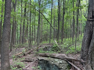 Lot 1B Horse Shoe Bend Rd, Bear Rocks, PA 15610