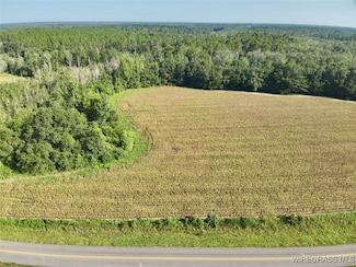 10.3 Acres Red Oak Rd, Florala, AL 36442
