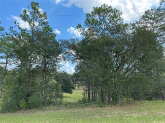 00 SE 150th Ave, Morriston, FL 32668
