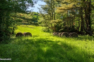 0 Cotter Rd, Chatham, NY 12136