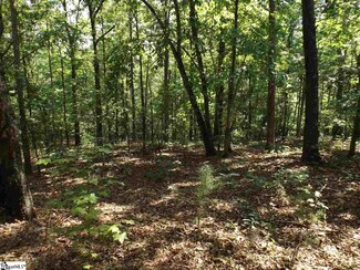 345 Rock Cliffe Trail, Pickens, SC 29671