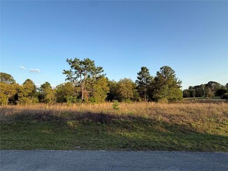 Lot 2 SW 65th Loop, Rainbow Springs, FL 34432