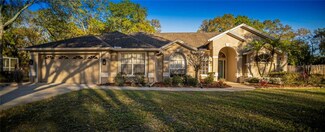806 Brooker Village Cir, Lutz, FL 33548