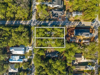Lots 39&40 E Georgie St, Point Washington, FL 32459