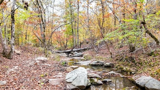 Sulpher Springs Rd, Waterloo, SC 29384