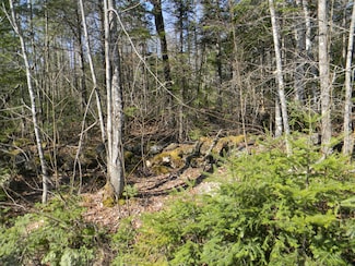 0 Lot Pease Map 4 Lot 4 Rd Unit 1619578, Cambridge, ME 04923