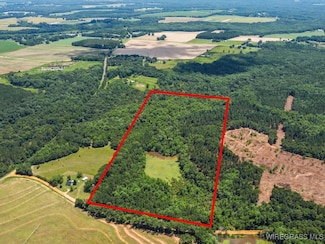 60 ac J L Hogan Rd, Coffee Springs, AL 36318