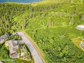 6550 Prominence Pointe Dr, Anchorage, AK 99516