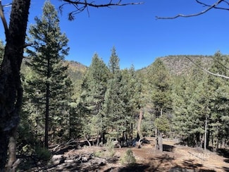 285 Pinyon, Mammoth Creek, UT 84735