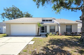 12121 Wildbrook Dr Unit 2, Riverview, FL 33569