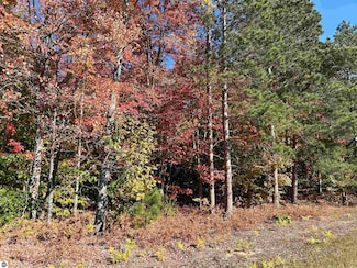 0 M-115 Unit 1928042, Thompsonville, MI 49683