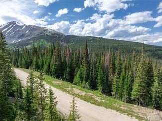 275 Cr 805, Breckenridge, CO 80424